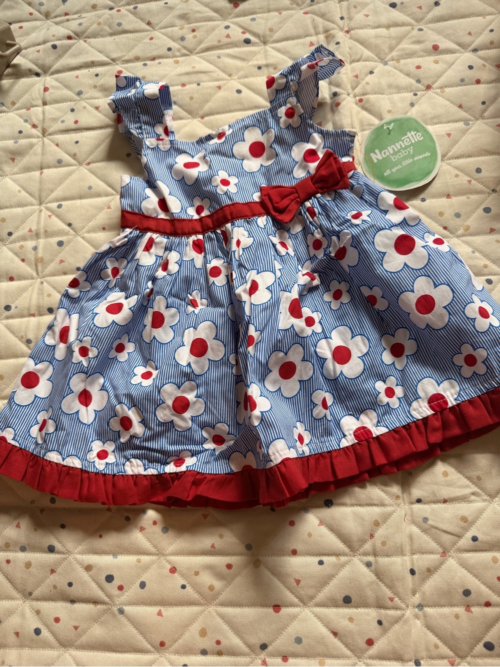 Nannette Blue & White Striped Floral Baby Dress with Red Accents